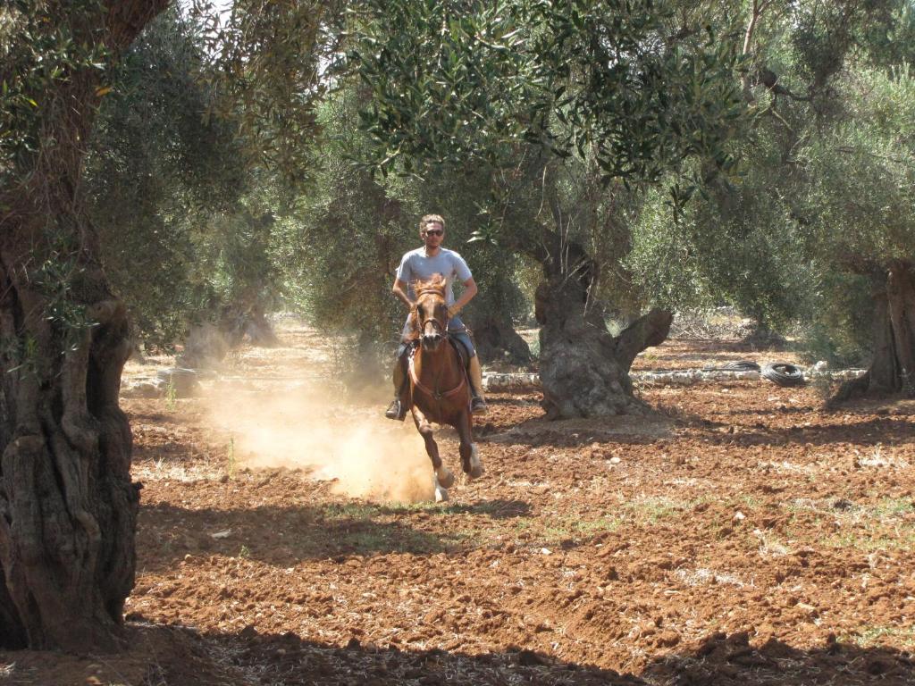 Penzion Antica Masseria Carparelli Ostuni Exteriér fotografie